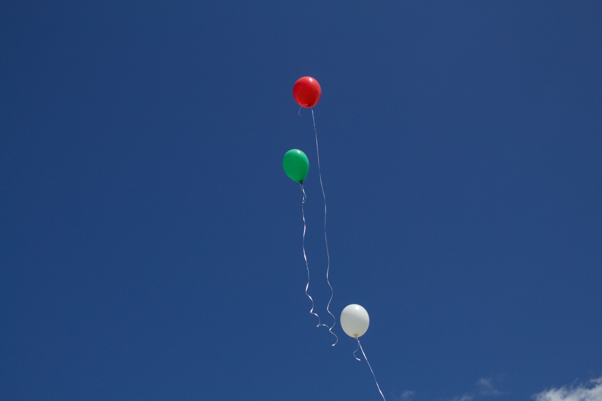 441505852_992574776155123_1630121445673030363_n